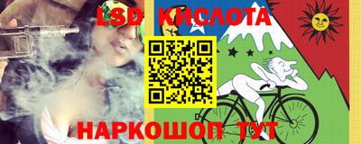 прущие грибы Дубна