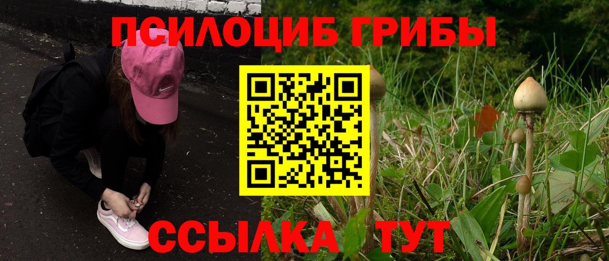 Галлюциногенные грибы GOLDEN TEACHER  Галлюциногенные грибы GOLDEN TEACHER  Вход с VPN  Ирбит 